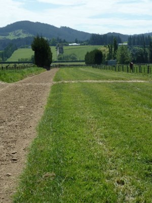 hometrack