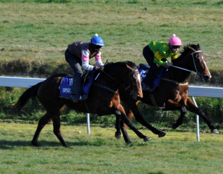 norahtrials