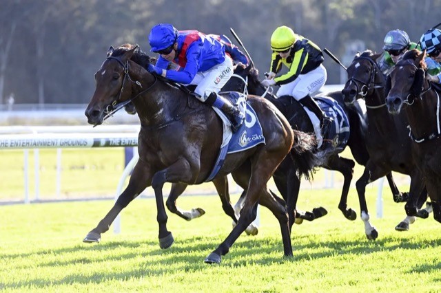 Palmetto powers to a big race victory in the A$500,000 The Coast at Gosford