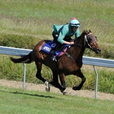 thewayiam trials dec14