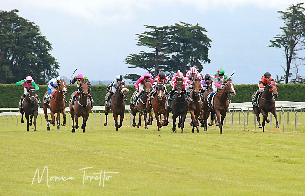 Uphold’s recent win at Riverton started a fine run of new year form for White Robe Lodge’s breeding and training arms. Photo by Monica Toretto.